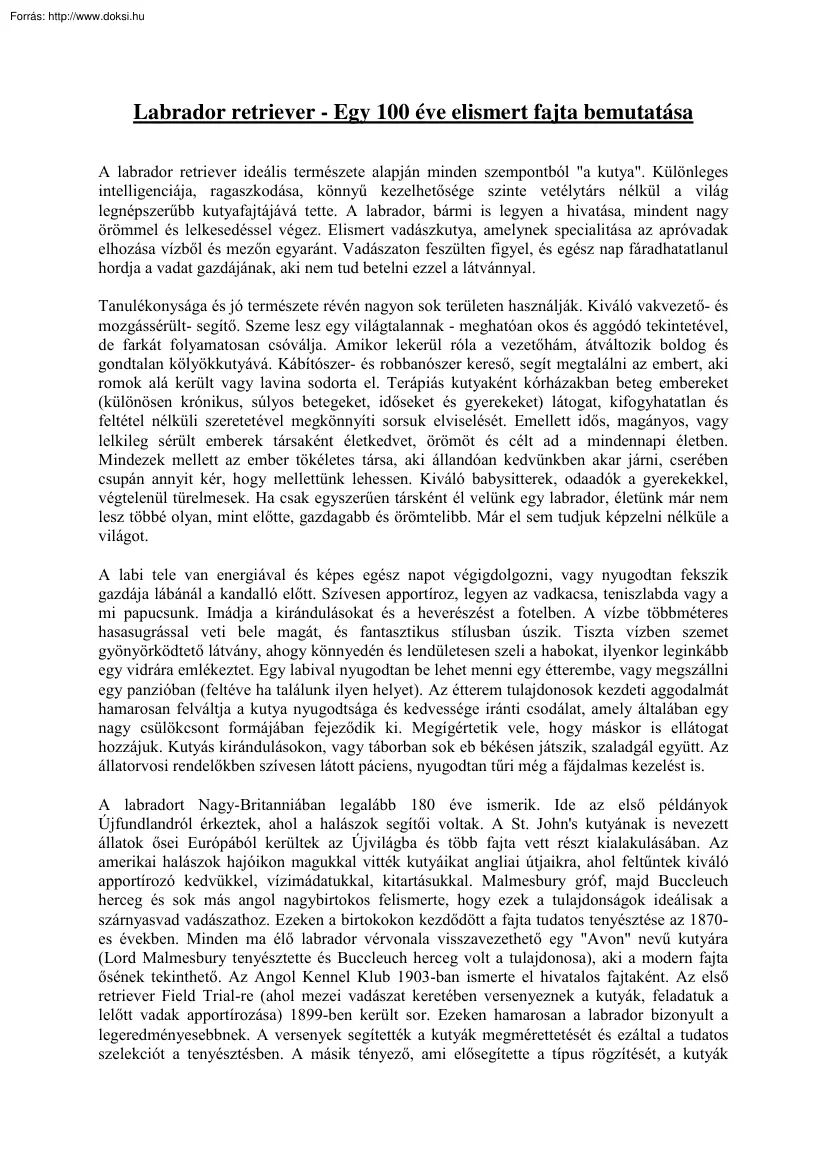 Labrador retriever, egy 100 éve elismert fajta bemutatása