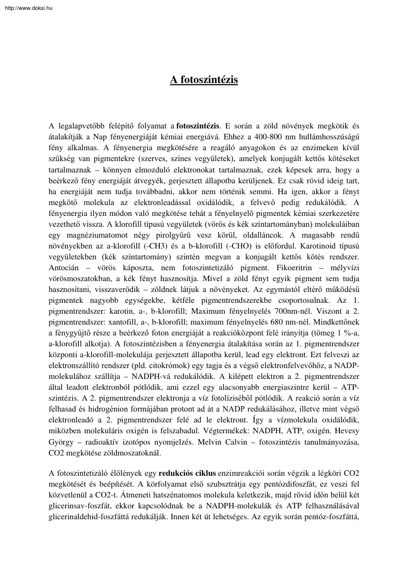 A fotoszintézis