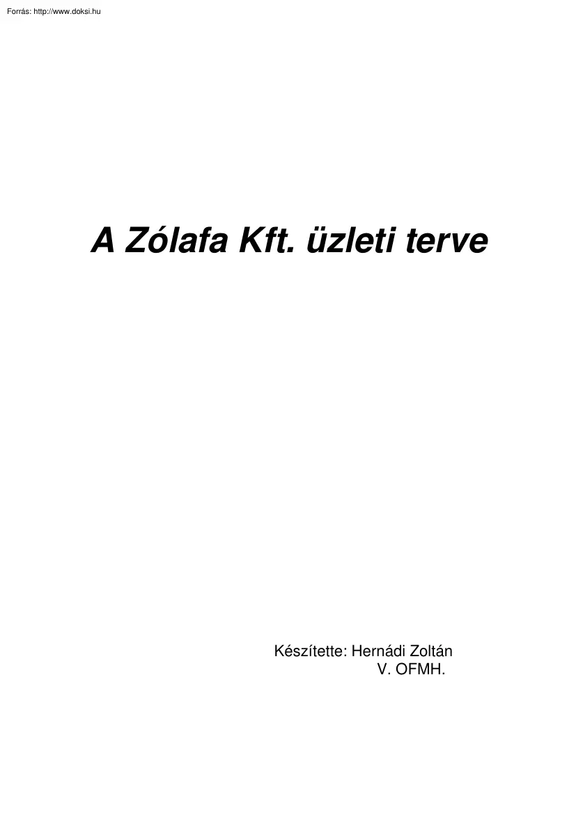 Hernádi Zoltán - A Zólafa Kft. üzleti terve