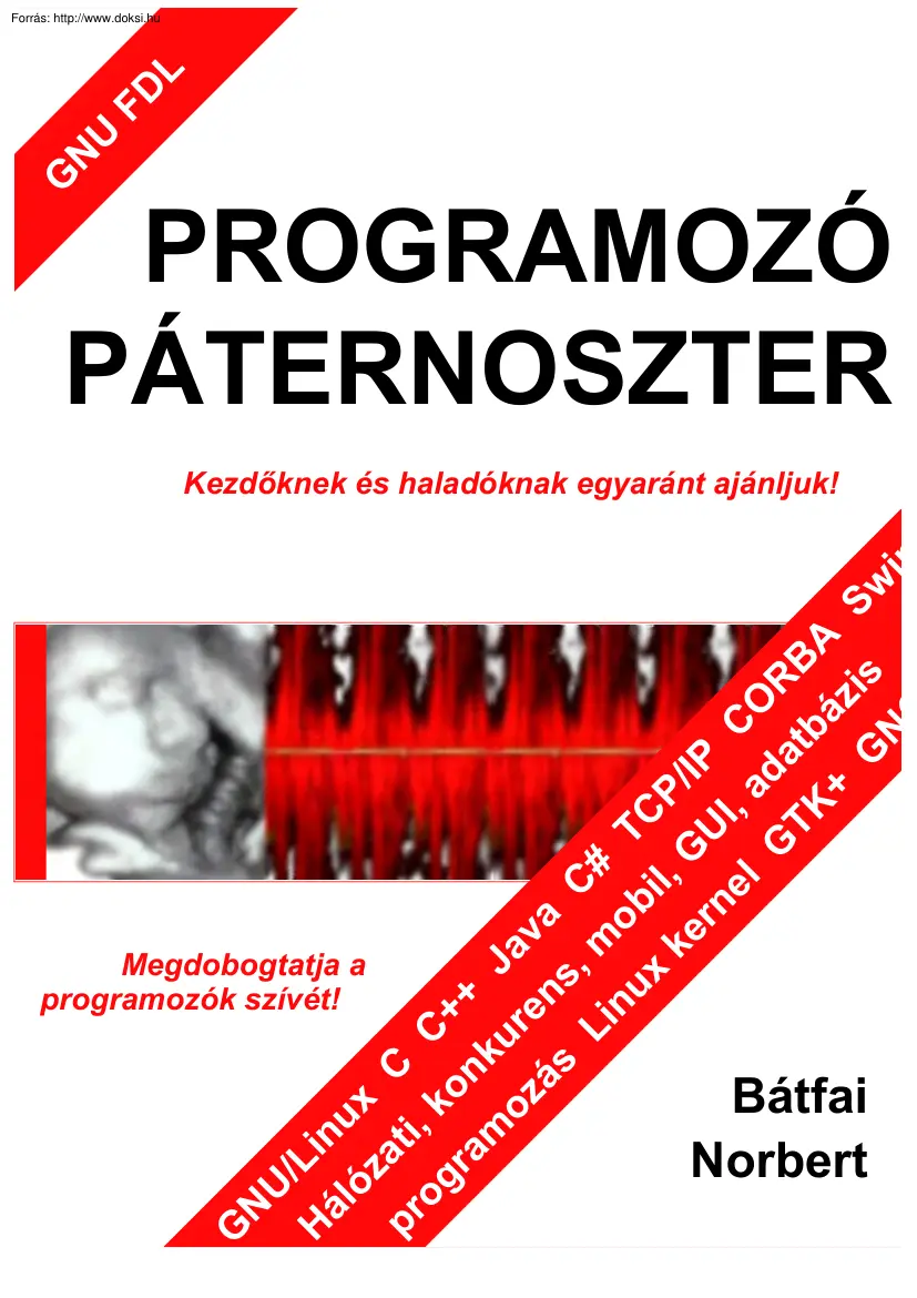 Bátfai Norbert - Programozó páternoszter