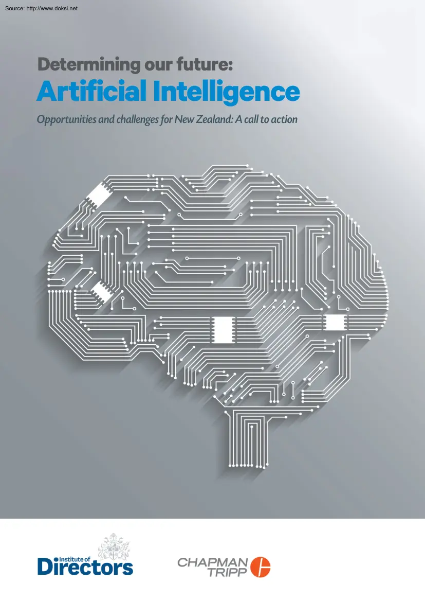 Artificial Intelligence, Opportunities and Challenges for New Zealand, A Call to Action