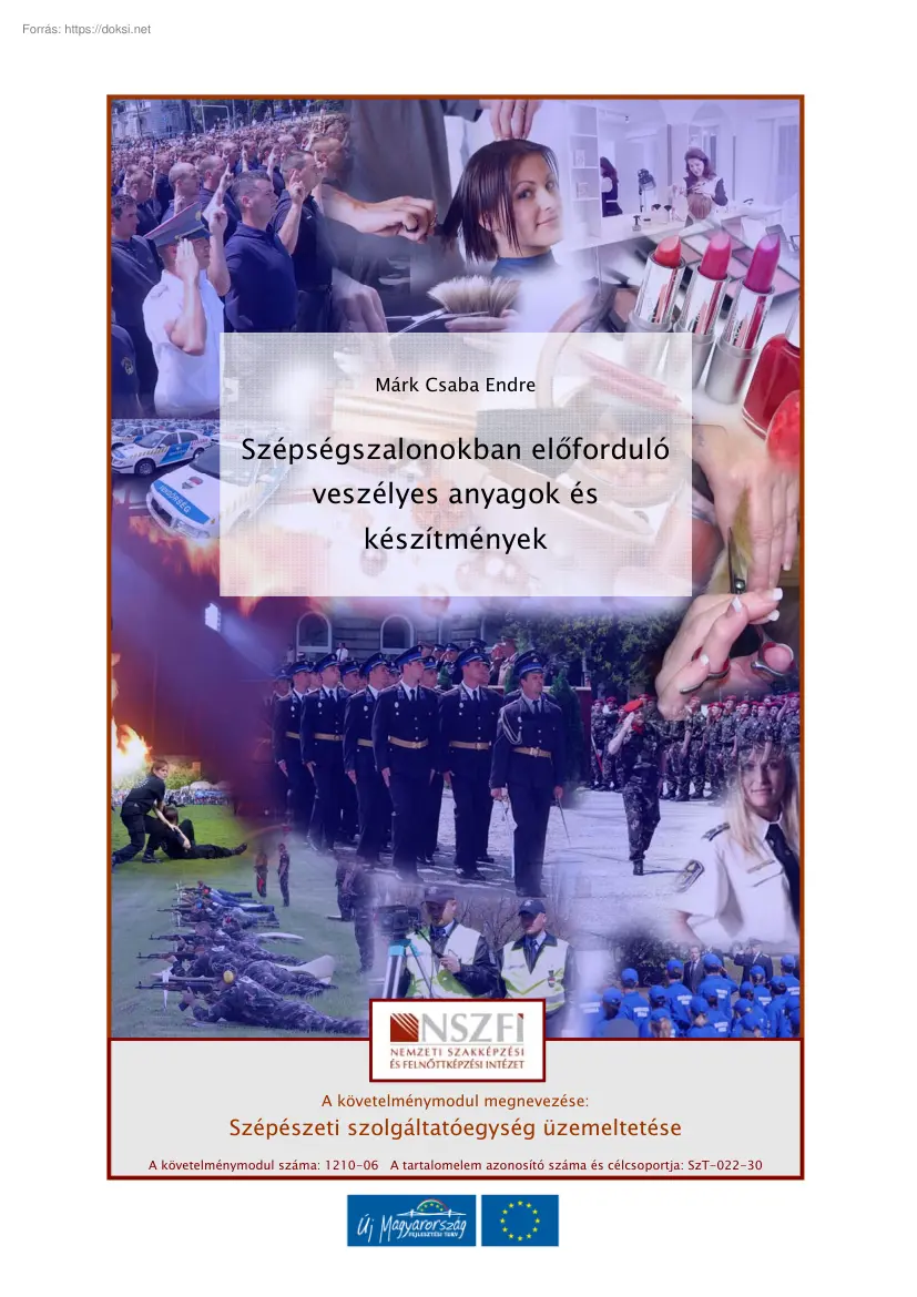 Márk Csaba Endre - Szépségszalonokban előforduló veszélyes anyagok és készítmények
