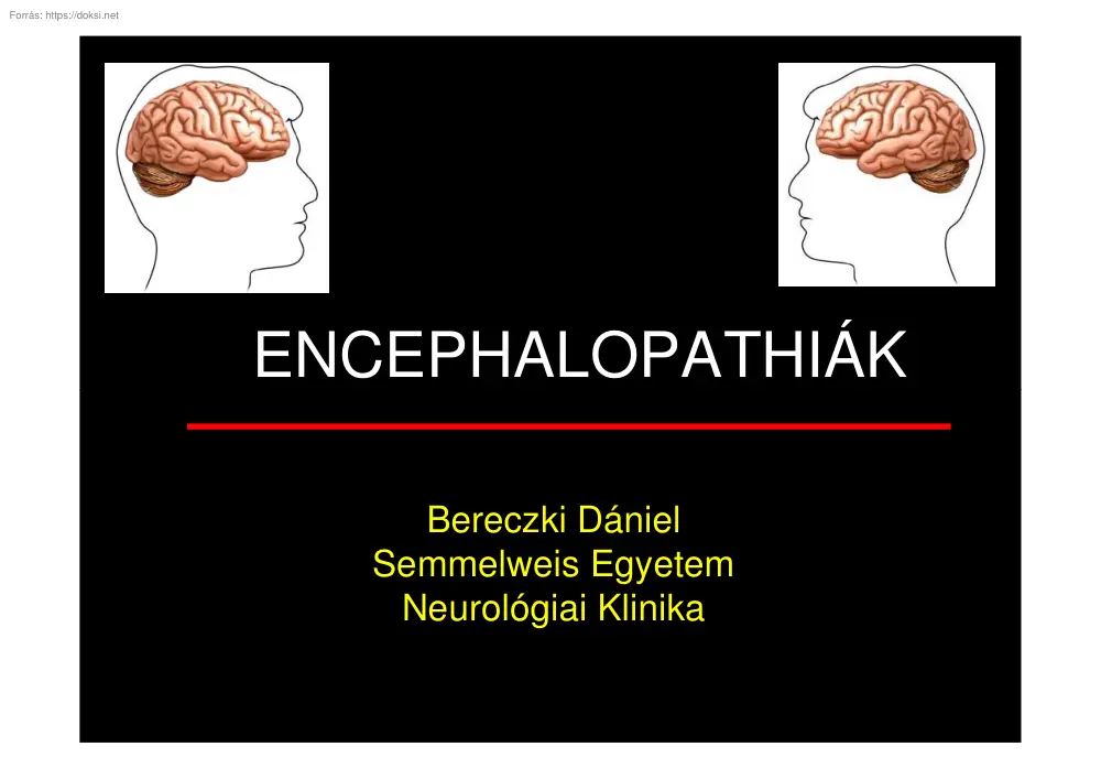 Bereczki Dániel - Encephalopathiák