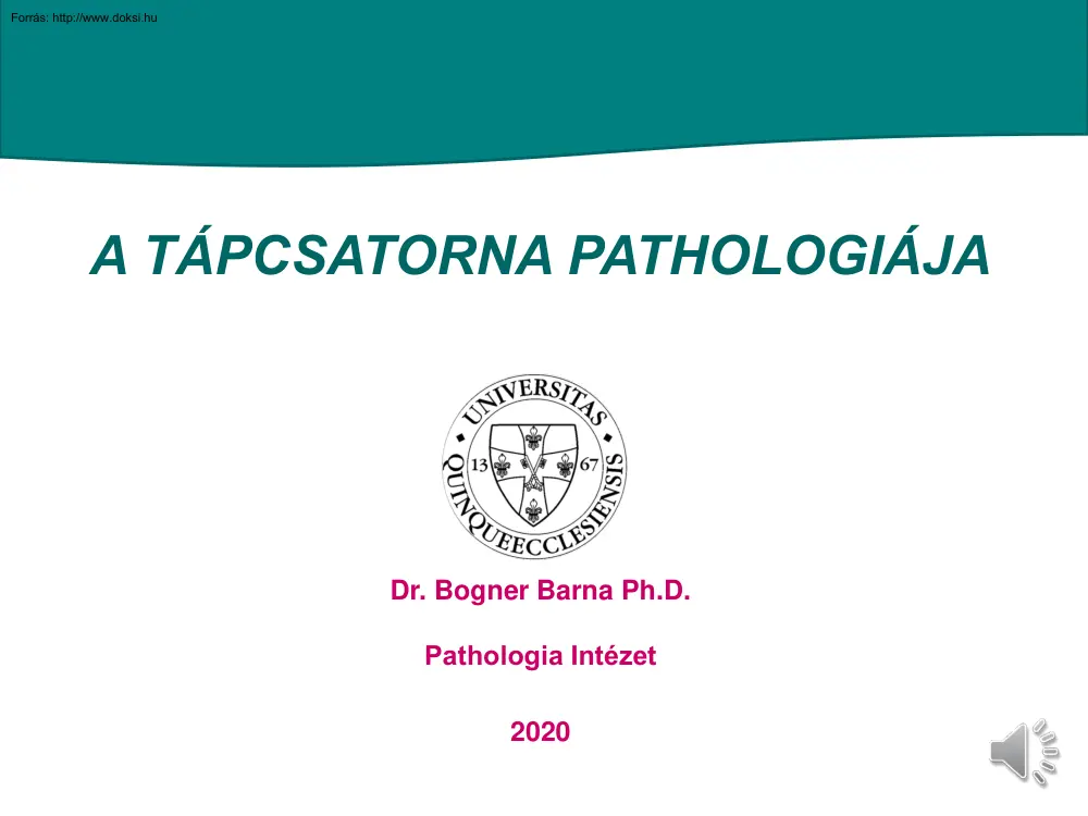 Dr. Bogner Barna Ph.D. - A tápcsatorna Pathologiája