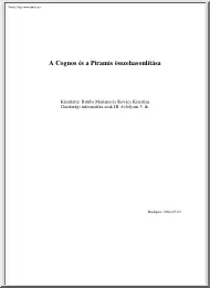 Bimba-Kovács - A Cognos és a Piramis összehasonlítása