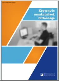 Képernyős munkahelyek biztonsága