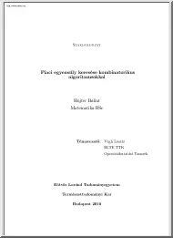 Hujter Bálint - Piaci egyensúly keresése kombinatorikus algoritmusokkal