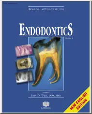 Arnaldo Castellucci - Endodontics