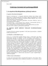 Bodócs Máté - Lehetséges kormányzati gazdaságpolitikák