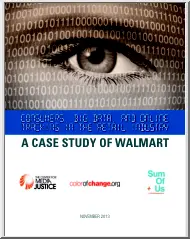 Consumers, Big Data, and Online Tracking in the Retail Industry, A Case Study of Walmart