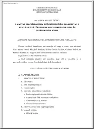 A magyar szociálpolitika intézményesülési folyamatai, a szociális ellátórendszer szintjének szereplői és tevékenységi körei