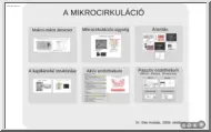 Dr. Eke András - A mikrocirkuláció