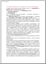 A rendező munkája