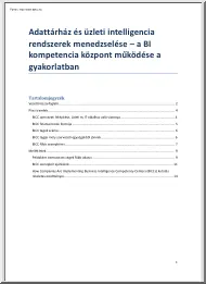 Adattárház és üzleti intelligencia rendszerek menedzselése, A BI kompetencia központ működése a gyakorlatban