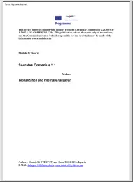 Dulupcu-Demirel - Globalization and Internationalization