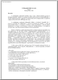 Bodrogi Péter - A felhasználói felület tervezése