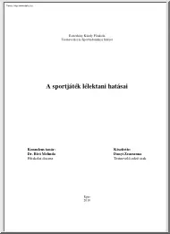 Danyi Zsuzsanna - A sportjáték