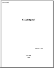 Csernai Csaba - Verziókövető rendszerek