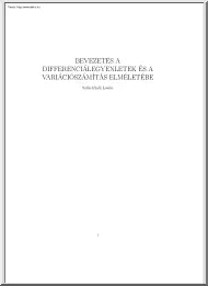 Székelyhidi László - Bevezetés a
