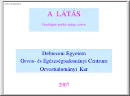 A látás, fiziológiai optika, retina, cortex