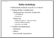 A hallás biofizikája