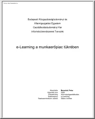 Benedek Petra - E-learning a munkaerőpiac tükrében