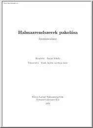Bárász Mihály - Halmazrendszerek pakolása
