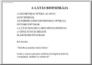 A látás biofizikája
