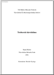 Bajna Balázs - Tetőterek tűzvédelme