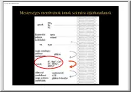 Az ioncsatornákról