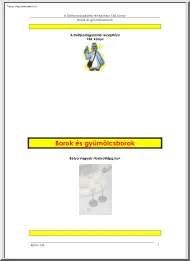 Borok és gyümölcsborok