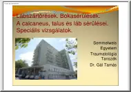 Dr. Gál Tamás - Lábszártörések