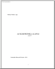 Burány Nándor - Az elektronika