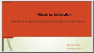 Bodó Tibor - Hidak és hálózatok