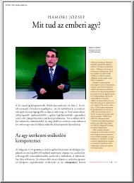 Hámori József - Mi tud az emberi agy