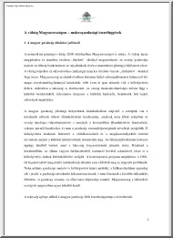 A válság Magyarországon, makrogazdasági összefüggések