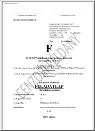 Vállalkozási mérlegképes könyvelő