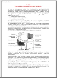 Ergonomikus számítógépes környezet kialakítása