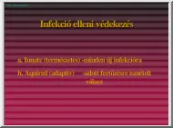 Infekció elleni védekezés