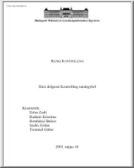 Erőss-Radnóti-Romhányi - Banki kontrolling