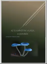 Vizkievicz András - Az Eukarióták