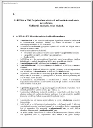 Molekuláris biológia, tételek