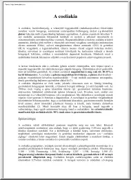 Dr. Beró Tamás - A coeliakia