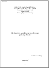 Kovács Kinga - Liechtenstein, egy adóparadicsom komplex gazdasági elemzése