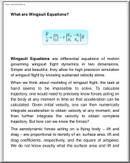 What Are Wingsuit Equations