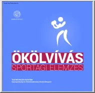Ökölvívás sportági elemzés