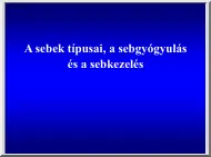 A sebek típusai, a sebgyógyulás és a sebkezelés