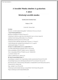 Gosztonyi Géza - A szociális munka elmélete és gyakorlata III - Közösségi szociális munka