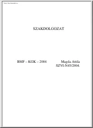 Magda Attila - Marketing és Internet