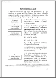 Hipotézis vizsgálat